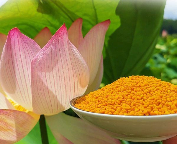 Beehall Health Products Manufacturer Health Care Food Raw Lotus Bee Pollen