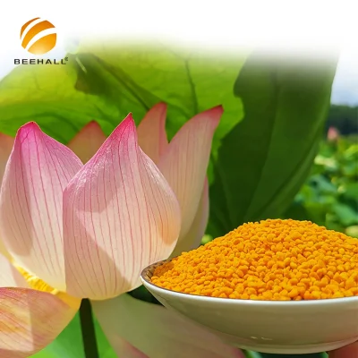 Beehall Health Products Manufacturer Health Care Food Raw Lotus Bee Pollen